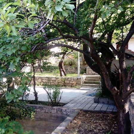 Apartman "Tartaruga" Lukovo Buitenkant foto